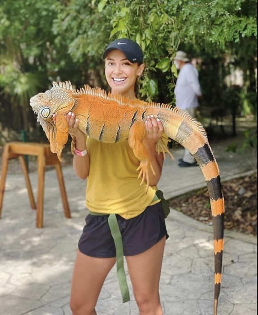 Young Attractive Woman Holding Wild Chameleon | Smile Virtual